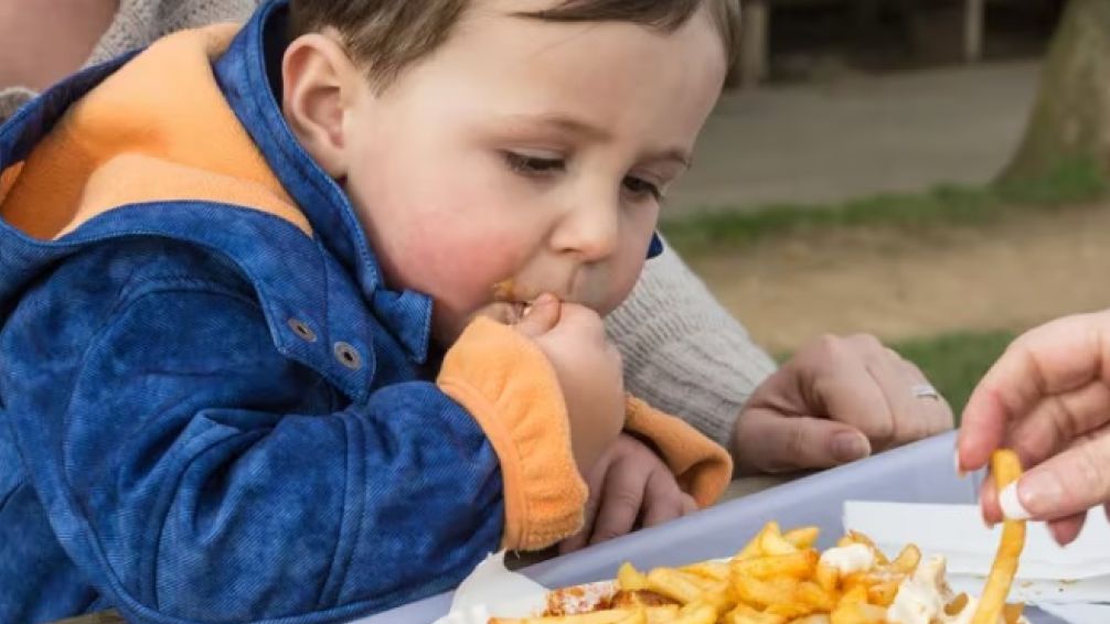 Consumo de alimentos procesados: el tabaquismo del siglo XXI
