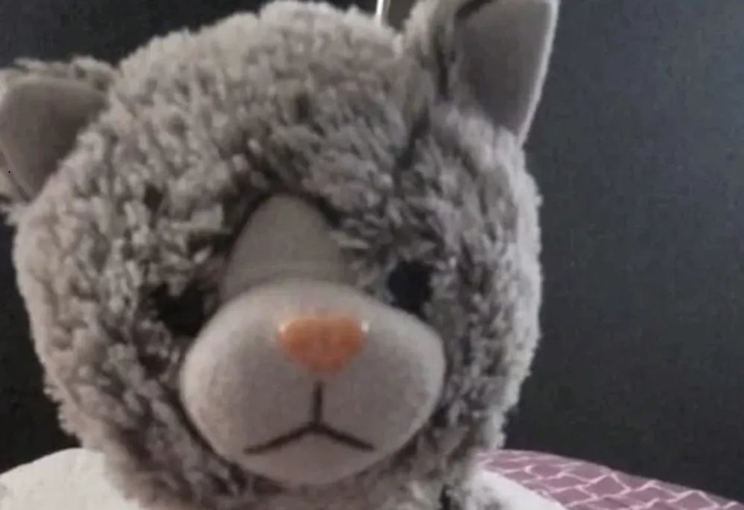 Extorsionaron a una familia en Mendoza y les pidieron $200 mil para recuperar el peluche de su hijo con autismo