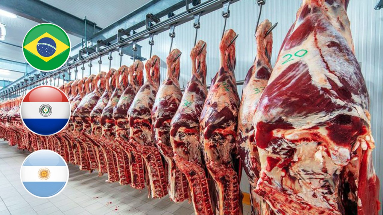 Precios bajos, impacto alto: la carne de Brasil gana terreno en el mercado interno
