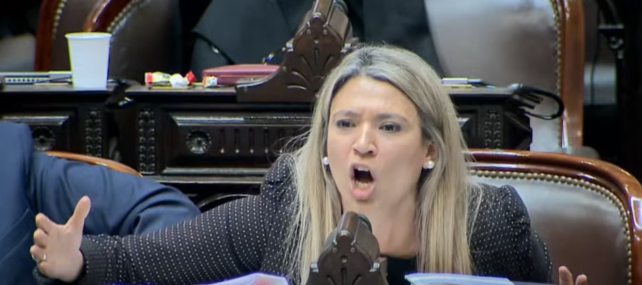 Escándalo en Diputados: diputada de Unión por la Patria le dice "Gato" a su colega libertaria