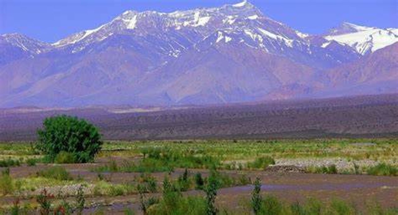 Movimiento sísmico de magnitud 4.5 en San Juan