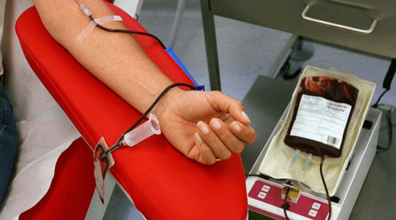 14 de junio: Día Internacional del Donante de Sangre