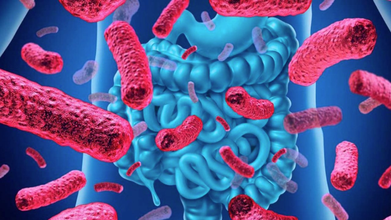La ciencia ha demostrado cómo la microbiota influye en la salud mental