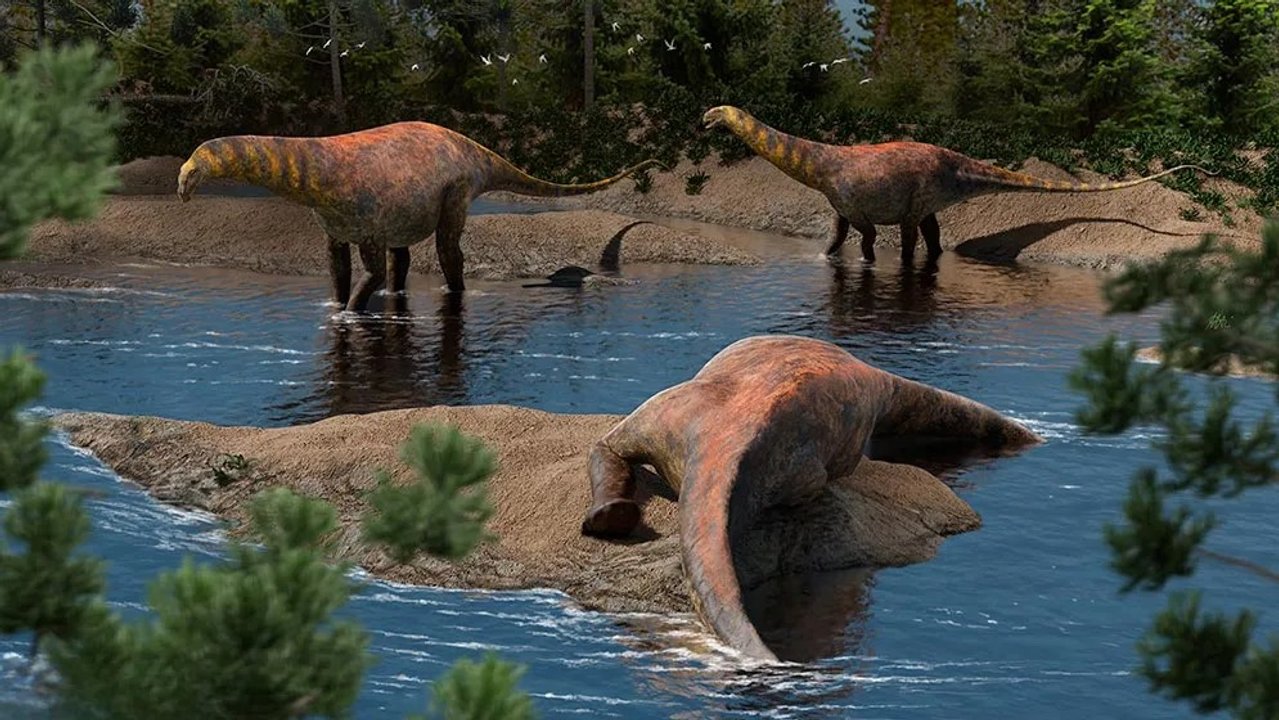 Hallan en Neuquén un nuevo dinosaurio de 95 millones de años