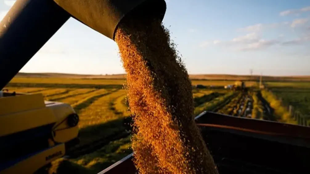 Récord de exportaciones agroindustriales en el primer semestre pese a la baja de precios