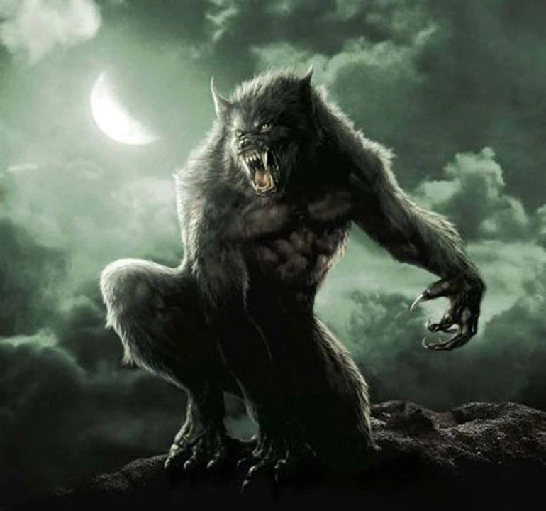 La “Ley Lobizón”: la norma vigente que protege al país contra los “hombres lobo”