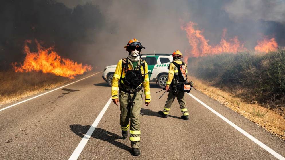 Incendios en España: Ya han ardido casi 120 mil hectáreas en agosto