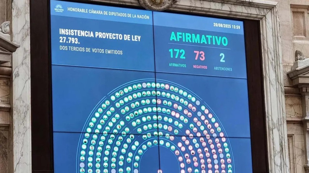 La Cámara de Diputados rechazó el veto de Javier Milei a la Ley de Emergencia en Discapacidad