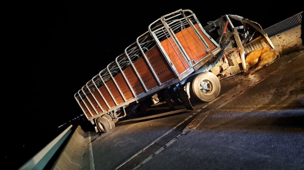 Accidente en el puente Rosario-Victoria: Una joven de 17 años herida por un animal suelto