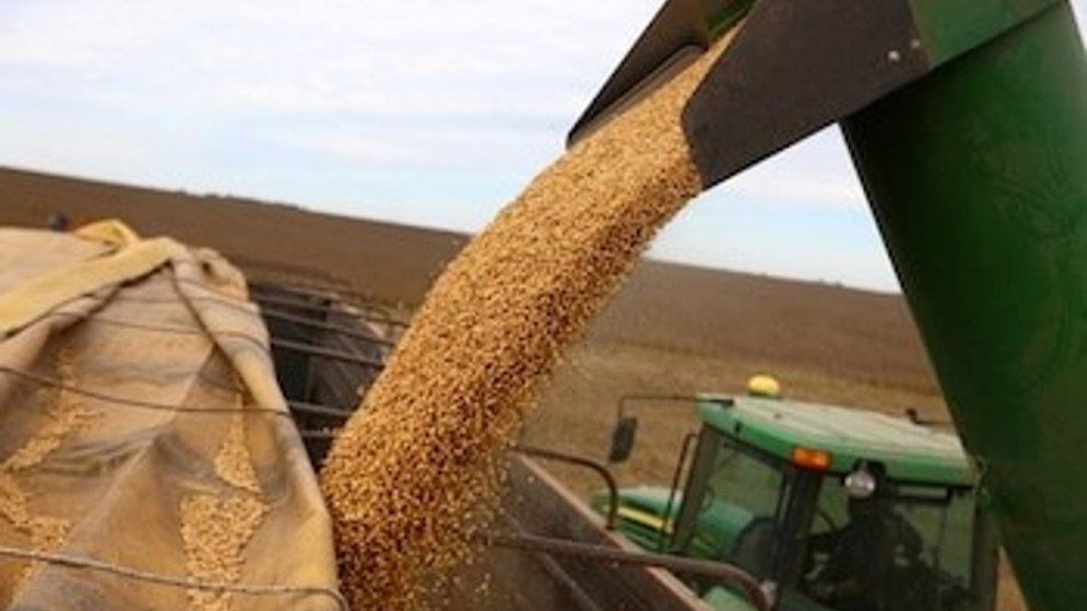Con retenciones cero, en un solo día el agro declaró ventas por USD 4200 millones de dólares