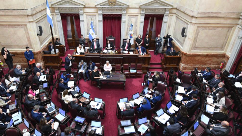 Tenencia de armas: el Senado reactivará el debate del proyecto 