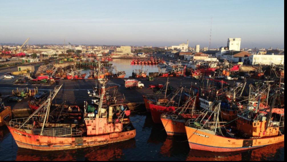 Mar del Plata: portuarios denuncian un industricidio en la pesca y apuntan contra Milei