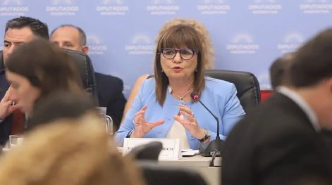 Ley Ómnibus: Bullrich confirmó que retirarán el artículo que obligaba a pedir permiso para reuniones de tres personas
