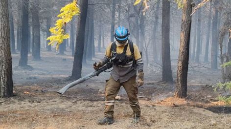 Incendios forestales en Córdoba: detuvieron a un joven de 19 años en La Calera