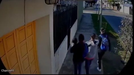 Inseguridad en La Matanza: salieron a robar armados y con un bebé en brazos