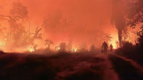 El Gobierno de Luis Arce declaró la 'emergencia nacional' en Bolivia por los incendios forestales