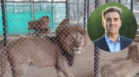 Escándalo judicial en el zoo de Luján: investigan maltrato y crueldad animal