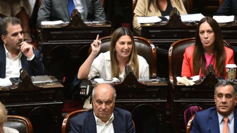 Ficha Limpia: quiénes fueron los diputados que no dieron quórum