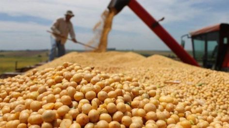 Las exportaciones de las economías regionales acumulan un superávit comercial de 7863 millones de dólares