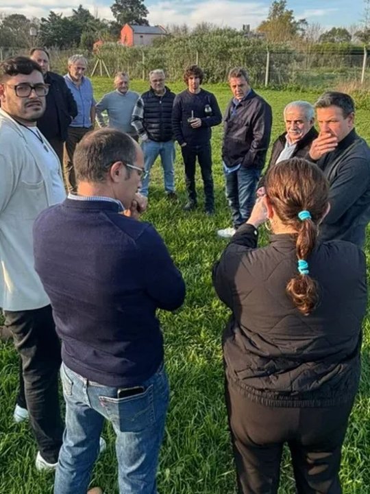 Sergio Massa vuelve al juego: cómo teje su regreso electoral desde los márgenes del peronismo